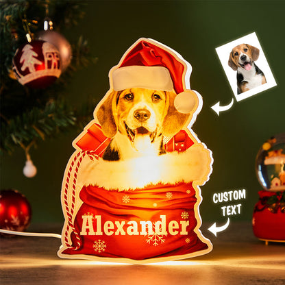 Custom Pet Night Light with dog in Santa hat, personalized 'Alexander'. Christmas gift.